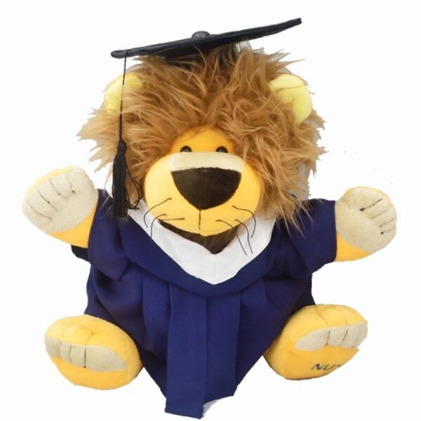 NUS Lion: Bachelor of Business Administration 2021
